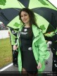 Paddock girls Jerez