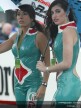 Paddock girls Jerez