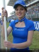 Paddock Girls - Catalunya