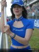 Paddock Girls - Catalunya