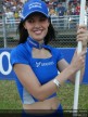 Paddock Girls - Catalunya