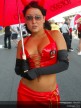 Paddock Girls - Catalunya