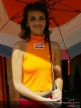 Paddock Girls - Catalunya