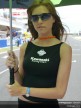 Paddock Girls - Catalunya