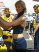 Paddock Girls - Catalunya