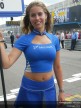 Paddock Girls - Assen