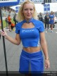 Paddock Girls - Assen