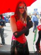 Paddock Girls - Assen