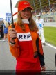 Paddock Girls - Assen