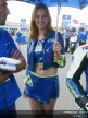 Paddock Girls - Assen