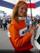 Paddock Girls - Assen