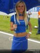 Paddock Girls - Assen