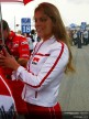 Paddock Girls - Assen