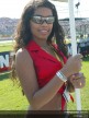 Paddock Girls - Rio