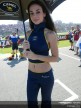 Paddock Girls - Rio