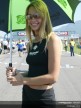 Paddock Girls - Rio