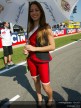 Paddock Girls - Rio