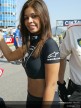 Paddock Girls - Rio
