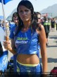 Paddock Girls - Rio
