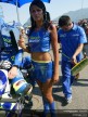 Paddock Girls - Rio