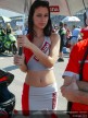 Paddock Girls - Rio