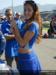 Paddock Girls - Rio