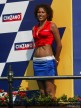 Paddock Girls - Rio