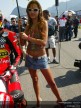 Paddock Girls - Rio