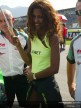 Paddock Girls - Rio
