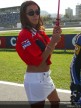Paddock Girls - Rio