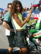 Paddock Girls - Rio