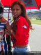 Paddock Girls - Rio