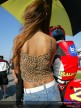 Paddock Girls - Rio