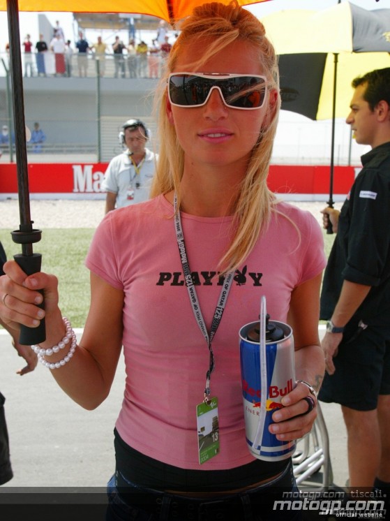 Paddock girls - Qatar