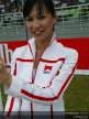 Paddock Girls - Sepang