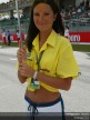 Paddock Girls - Sepang