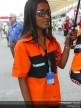 Paddock Girls - Sepang