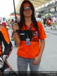 Paddock Girls - Sepang