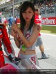 Paddock Girls - Sepang