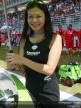 Paddock Girls - Sepang