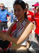 Paddock Girls - Sepang