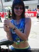 Paddock Girls - Sepang