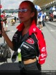 Paddock Girls - Sepang