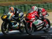 Circuit Action Shots - Phillip Island