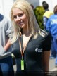 Paddock Girls - Phillip Island
