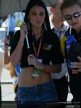 Paddock Girls - Phillip Island