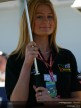 Paddock Girls - Phillip Island