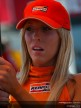 Paddock Girls - Phillip Island