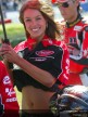 Paddock Girls - Phillip Island