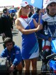 Paddock Girls - Phillip Island